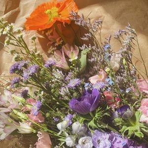 Meet your Posher, Isabella